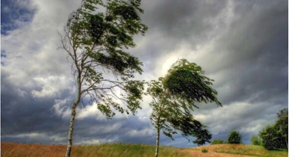 image-kulek-1