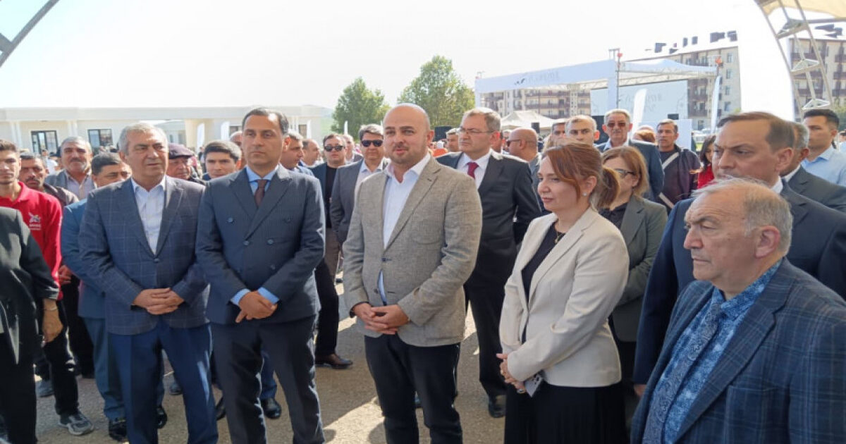 image-68e11b78a660e68e11b78a660f175958309668e11b78a660c68e11b78a660d