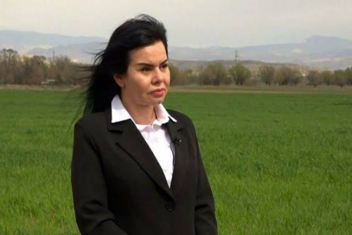 image-68f61fe6daa0368f61fe6daa04176096048668f61fe6daa0168f61fe6daa02