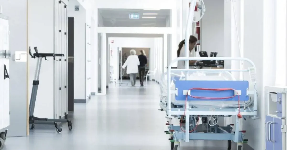 image-01kade83rn7x1h8y1es2vj83v5-large