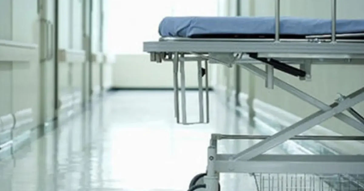 image-01kbppswr2wxk5f0sc31xc6pet-large