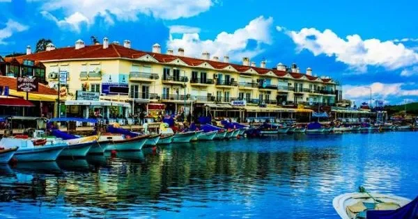 image-media-photo_126465-bk3u19