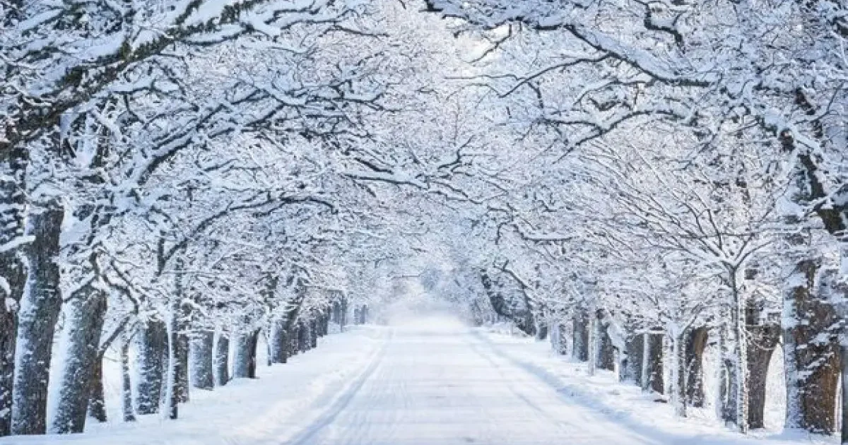 image-01keedggfzp1x6pfqv6snjby54-large