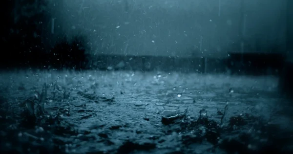 image-9104b958-1e43-45d4-86fb-1089bf0ecb52_825-7