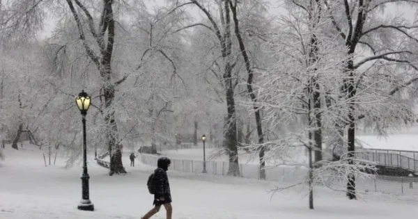 image-image_940x_6961fd733a1f6