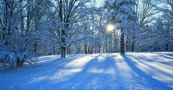 image-qar_oxu24_1768641803