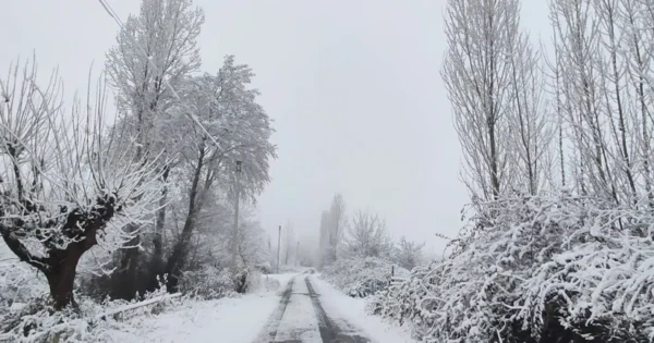 image-vnz362e04fqnexcfnn4isjva197elp6gbrc2ewul_825