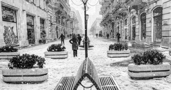 image-1641900849_qar