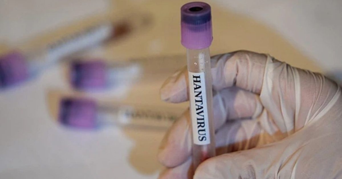 image-hantavirus