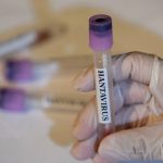 image-hantavirus