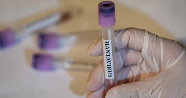 image-hantavirus