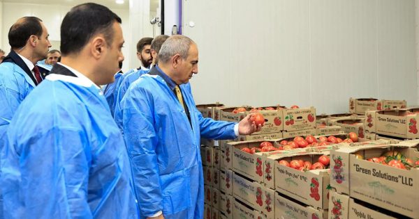 Rusiyanın idxal məhdudiyyətlərini “ədalətsiz maneə” adlandırdı 2 image-pashinyan-2