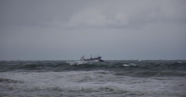 image-gemi-1
