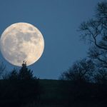image-moon