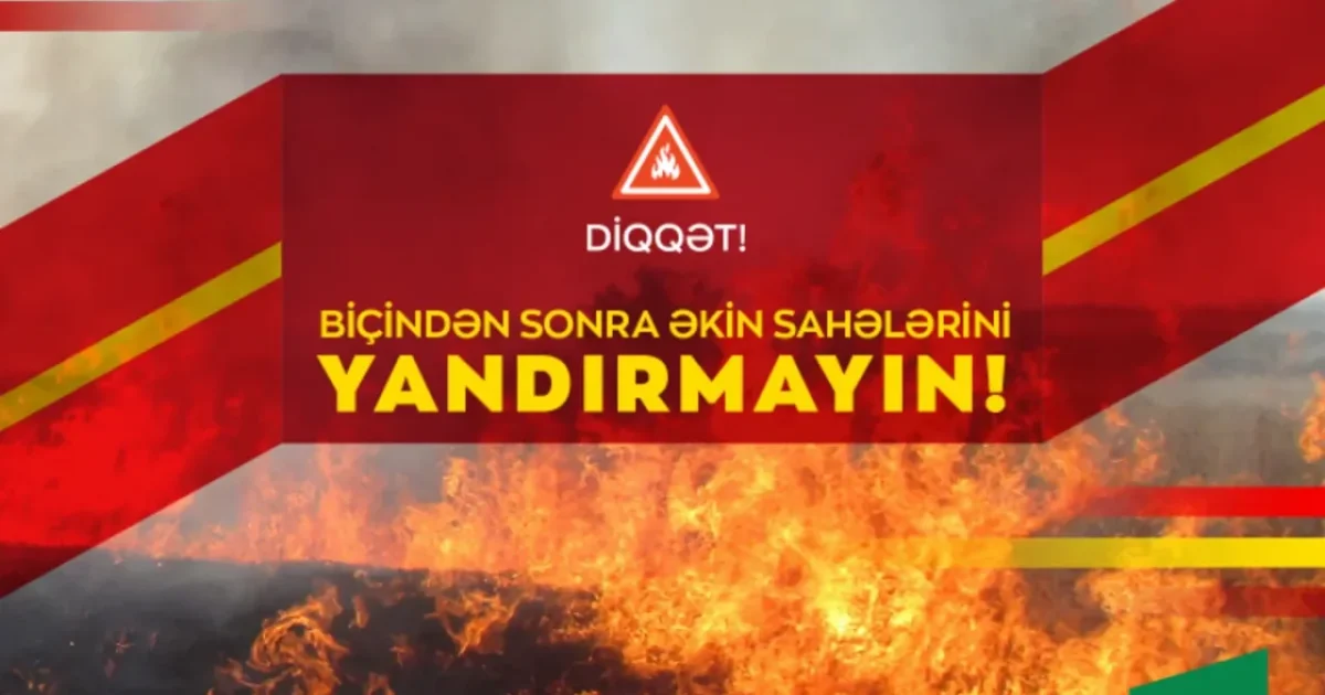 image-1784528622-wdtn3aavluypulpv1ihqoi14dgmrpvjpaip30qqg_1200