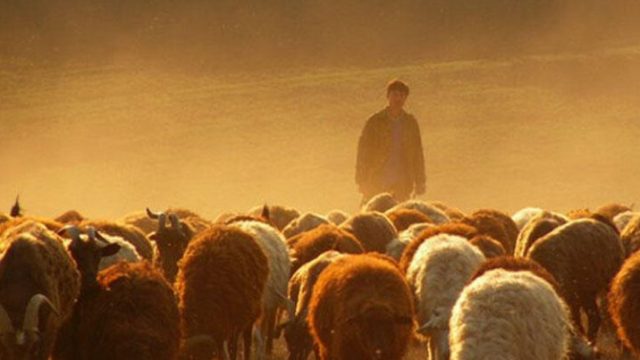 Ermənistana keçən azərbaycanlı çoban geri qaytarıldı